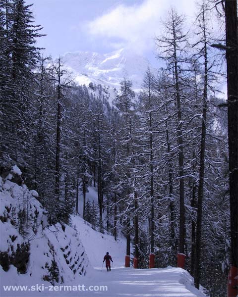 A skier near Patrullarve